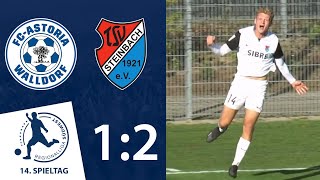 Hajdaraj mit der ENTSCHEIDUNG  FCAstoria Walldorf  TSV Steinbach Haiger  14 Spieltag RLSW [upl. by Crompton831]