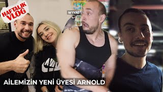 VLOG  AİLEMİZİN YENİ DOSTU ARNOLD OKAN YILMAZ VE DİKKAT ÇEKEN GECELİK KOMBİNİ 😂 [upl. by Siulegroj23]