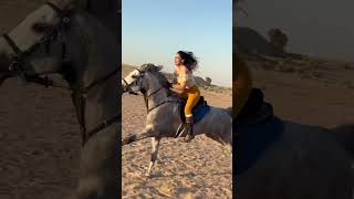 Dubai desert horse riding horsebackriding dubailife horseriding horselover dubai horseride [upl. by Haidebez]