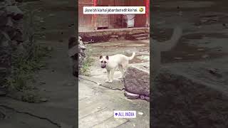 Wait for end 🤪Zara jhoom jhoom 😆😆shortvideo funnyvideo [upl. by Neeluj114]