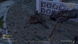 Cargobot Situation  Fallout 76 [upl. by Hsirehc781]