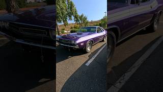 Stunning Plum Crazy 71 Challenger RT 😍 challengerrt mopar musclecar [upl. by Ahseinet]