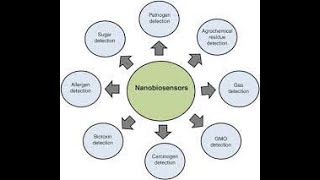 NANO BIOSENSORS [upl. by Colene696]