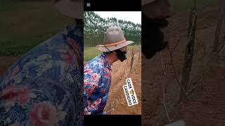 VO TORA VOCÊ EM BANDA😀shots risadagarantida viralshorts shotsvideo 🤠💃🏻 [upl. by Gram852]