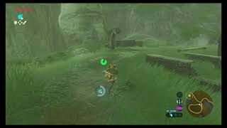 BotW  Korok  Lake Jarrahs Hutt using bombs [upl. by Eelrahs]