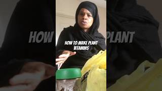 HOW TO FEED YOUR INDOOR PLANTS WITH HOMEMADE FERTILIZER [upl. by Eckardt69]