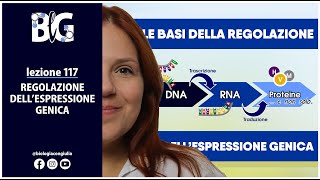 REGOLAZIONE DELLESPRESSIONE GENICA  LE BASI [upl. by Alemrac]