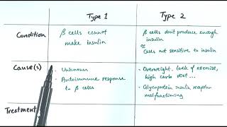 A2 Biology  Types of diabetes OCR A Chapter 144 [upl. by Shermie]