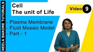 Cell  The unit of Life  NEET  Plasma Membrane  Fluid Mosaic Model  Part  1  Neela Bakore [upl. by Eirb227]