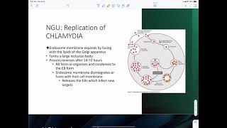 Chlamydia Trachomatis [upl. by Staal]