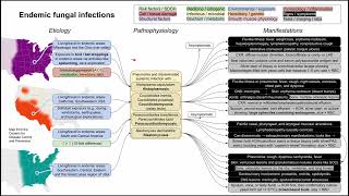 Endemic fungal infections Histoplasmosis ParaCoccidioidomycosis Blasto mechanism of disease [upl. by Edyaw]