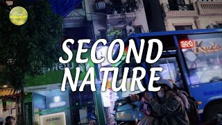 Second Nature  Soothing Serenade Chill Melodies Reverie  Part 141 [upl. by Ennayhc]