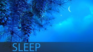 8 Hour Sleep Music Insomnia Deep Sleep Music Calm Music Sleep Meditation Sleeping Music ☯207 [upl. by Alleira]