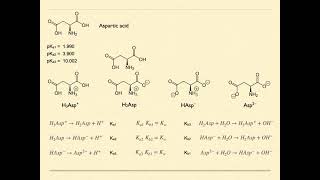 Lesson 34 Triprotic Amino Acids [upl. by Lenox291]