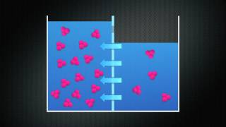 Diffusion Osmosis and Tonicity [upl. by Ireg]