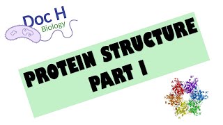 OCR ALevel Biology  Proteins  Part 1 212 Biological Molecules [upl. by Yud706]