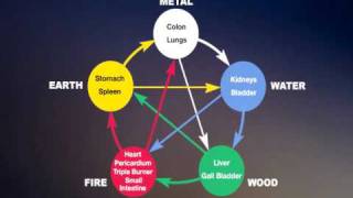 Chinese Five Elements 五行 wǔxíng or 5 Phases [upl. by Ahsial]