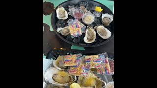 Apalachicola Provided Oysters and Several Rivers [upl. by Jahdiel]