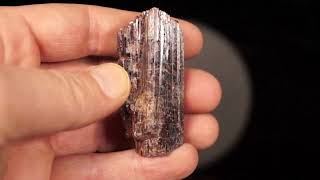 Rutile McGregor Lake Gatineau Outaouais Quebec Canada [upl. by Fiester]