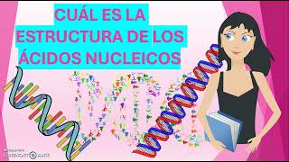 CÚAL ES LA ESTRUCTURA DE LOS ÁCIDOS NUCLEICOS [upl. by Kir]