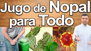 Nopal Para Todo  Para Qué Sirve  Beneficios Para Tu Salud Y Belleza [upl. by Auqemahs167]