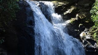 HIGH SHOALS FALLS TRAIL  GEORGIA [upl. by Mulcahy]