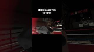 Golden Gloves VR  the best vr boxing game [upl. by Oscar]