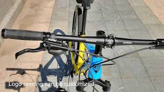 DAURADA aluminum alloy mountain bike [upl. by Neelra]