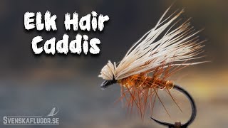 Elk Hair Caddis  Flugbindning  Svenskaflugorse [upl. by Yenffad790]