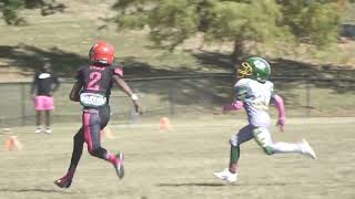 10u Fultondale Wildcats vs Crestwood colts Highlights [upl. by Calvert]