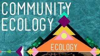 Community Ecology Feel the Love  Crash Course Ecology 4 [upl. by Nabi]