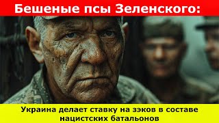 Бешеные псы Зеленского Украина делает ставку на зэков в составе нацистских батальонов [upl. by England]