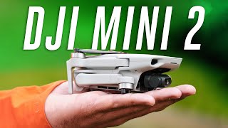 The best drone under 500 DJI Mini 2 review [upl. by Nomzaj]