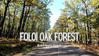 Enchanting Exploration of Foloi Oak Forest  Greek Nature Adventure [upl. by Shaikh403]