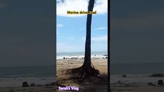 Merine drive road Coxs bazar viralvideo viralshort viralreels viralshorts travel [upl. by Fonda]