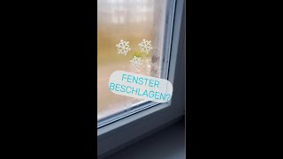 Warum beschlagen Fenster im Winter ❄️🏠 [upl. by Garretson]