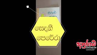 පිරුළු කතා pirulu katha anuradha rathnayaka [upl. by Akym]