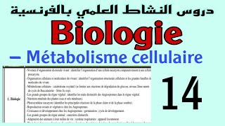 Métabolisme cellulaire catabolisme oxydatif [upl. by Yzzik446]