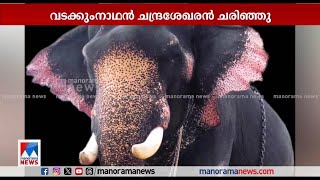 വടക്കുംനാഥന്‍ ചന്ദ്രശേഖരന്‍ ചരിഞ്ഞുകേരളത്തിലെ ഏറ്റവും പ്രായംകൂടിയ ആനVadakkumnathan Chandrasekharan [upl. by Bodkin]