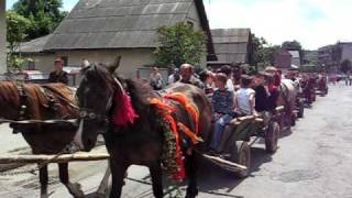 Spring Sheep Herders Parade in Dubove Ukraine [upl. by Mastic]