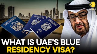 All you need to know about UAEs Blue Residency visa  WION Originals [upl. by Aissatsan]