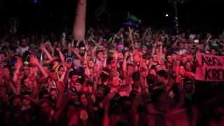 Electric Forest 2013  Krewella [upl. by Waylin]