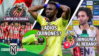 ¡6 O 7 BAJAS EN CHIVAS TRAS FRACASO  ¡¿Ame PIERDE A QUIÑONES  Chino Huerta NINGUNEA al Rebaño [upl. by Notla]