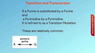 Micro30 Mutation Types  Transition and Transversion Genetics and Molecular Biology shorts [upl. by Esten]