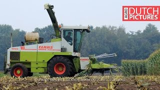 Mais hakselen 2016 Claas Jaguar 695 MEGA  Melkveehouderij Brink MaishäckselnHarvesting maizeNL [upl. by Lledyl]