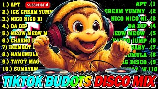 NEW TIKTOK BUDOTS DISCO DANCE REMIX NONSTOP 2024  TIKTOK REMIX 2024  BUDOTS DANCE REMIX 2023 [upl. by Allcot745]