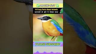 Crazy Facts About Animals 🐸🦘  Amazing Facts  Random Facts  Mind Blowing Facts in Hindi Shorts [upl. by Kauffman485]