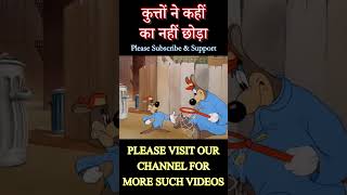 कुत्तों 🐶 ने कहीं का नहीं छोड़ा  Funny Short Video funnycomedy funnyshorts funny comedy [upl. by Alaecim]