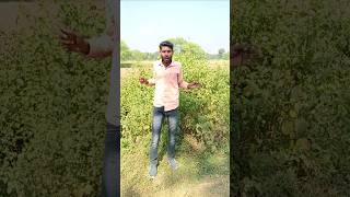 Ye kya tha wood man comedy funny comedyshorts [upl. by Christye]