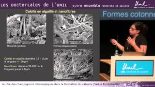 Doctoriales 2012  Le rôle des champignons microscopiques dans la formation du calcaire [upl. by Mongeau]